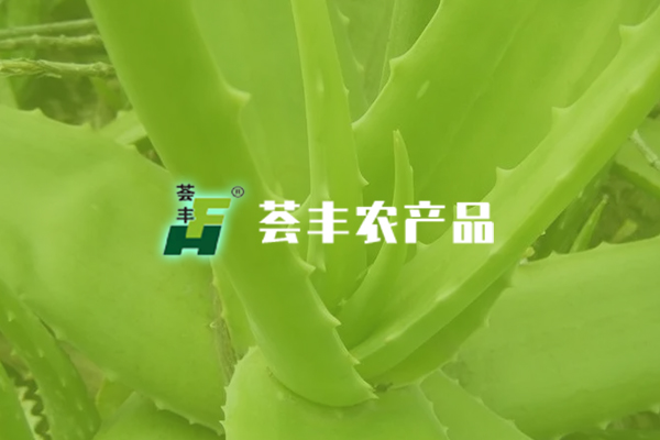 鞍山市薈豐農產品開發有限公司